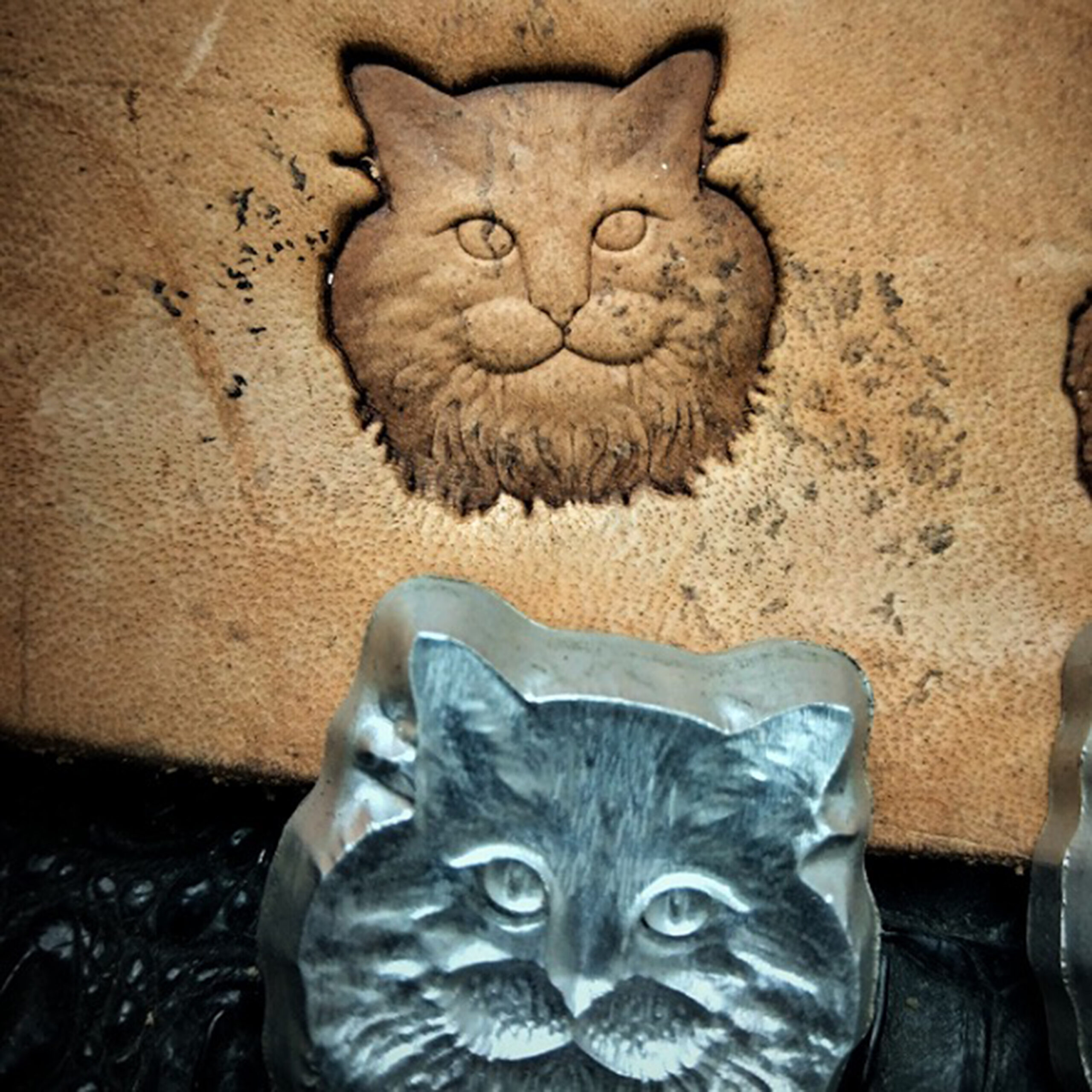 cat leather stamp mold tool in 2A12 super duralumin