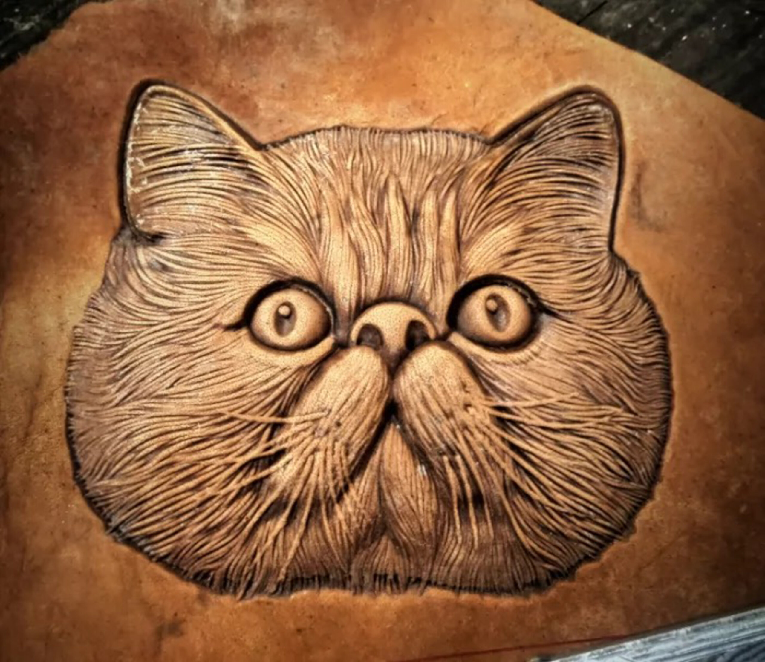 Cat leather stamp mold impression on real leather