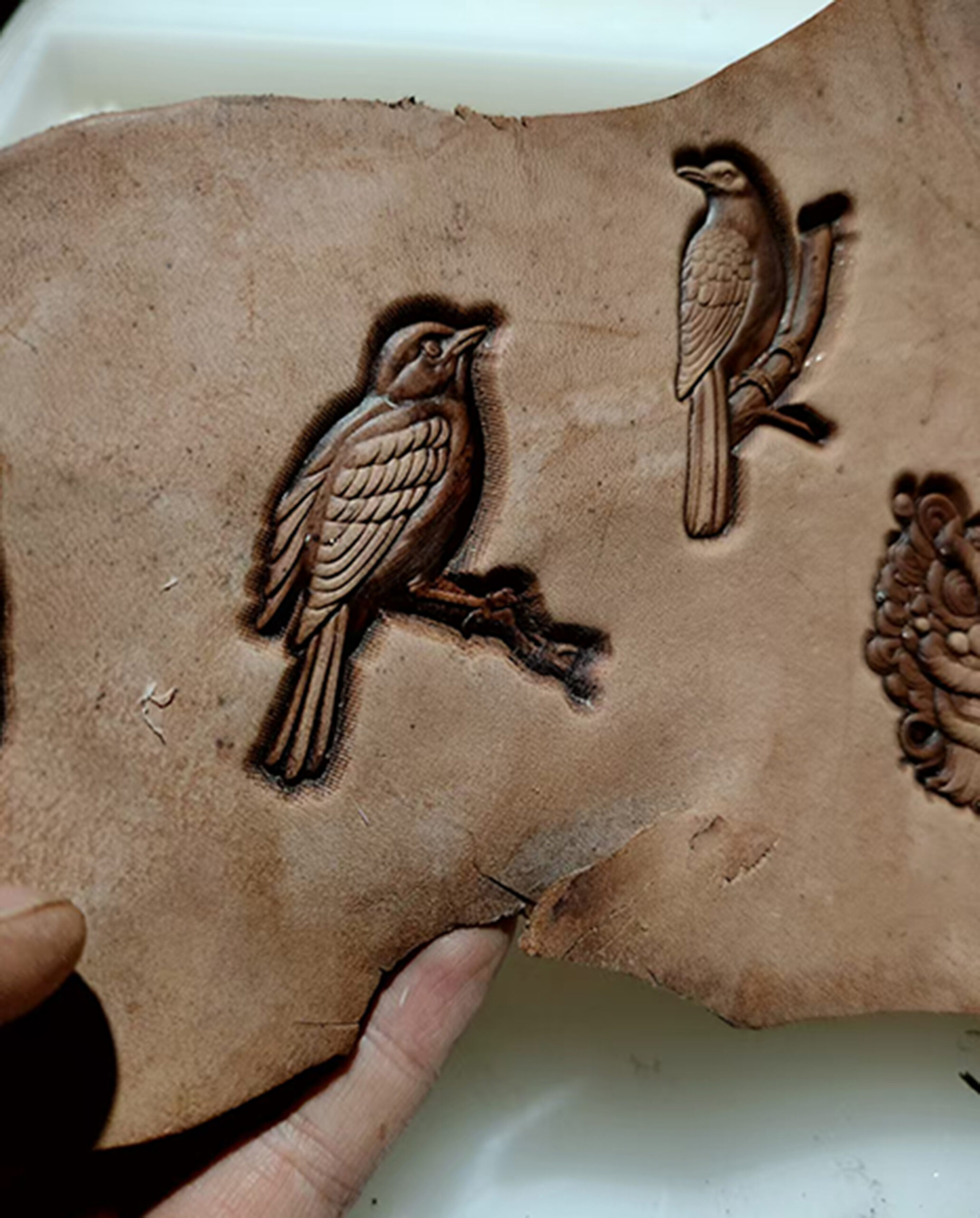 bird leather stamp impression on vegetable tanned leather
