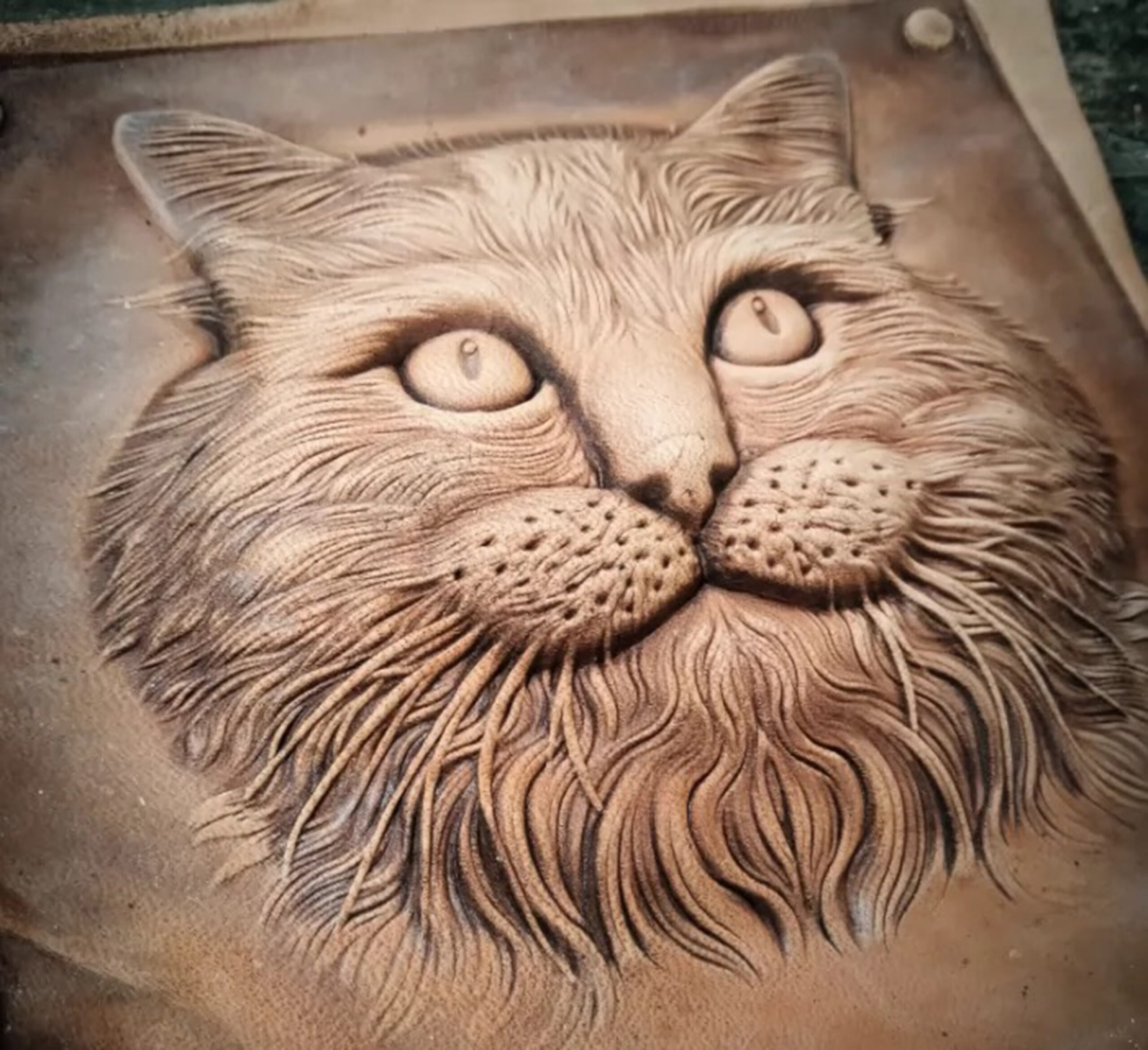 British Longhair leather stamp mold detail on leather