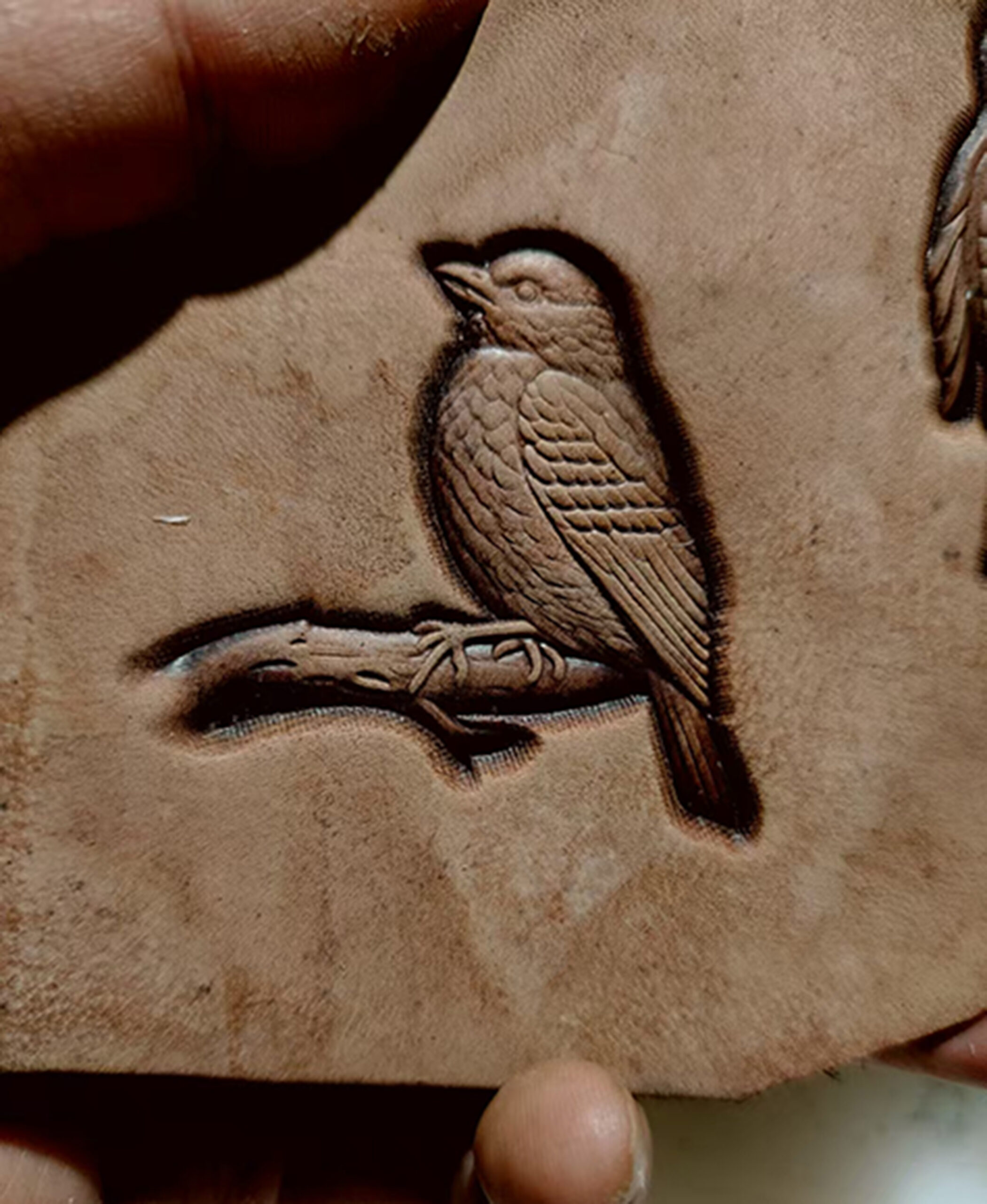 bird leather stamp impression on vegetable tanned leather