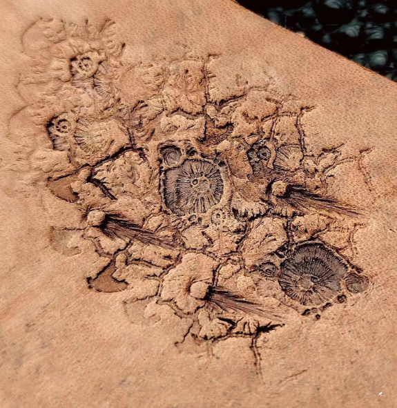crater leather stamp impression on vegetable tanned leather