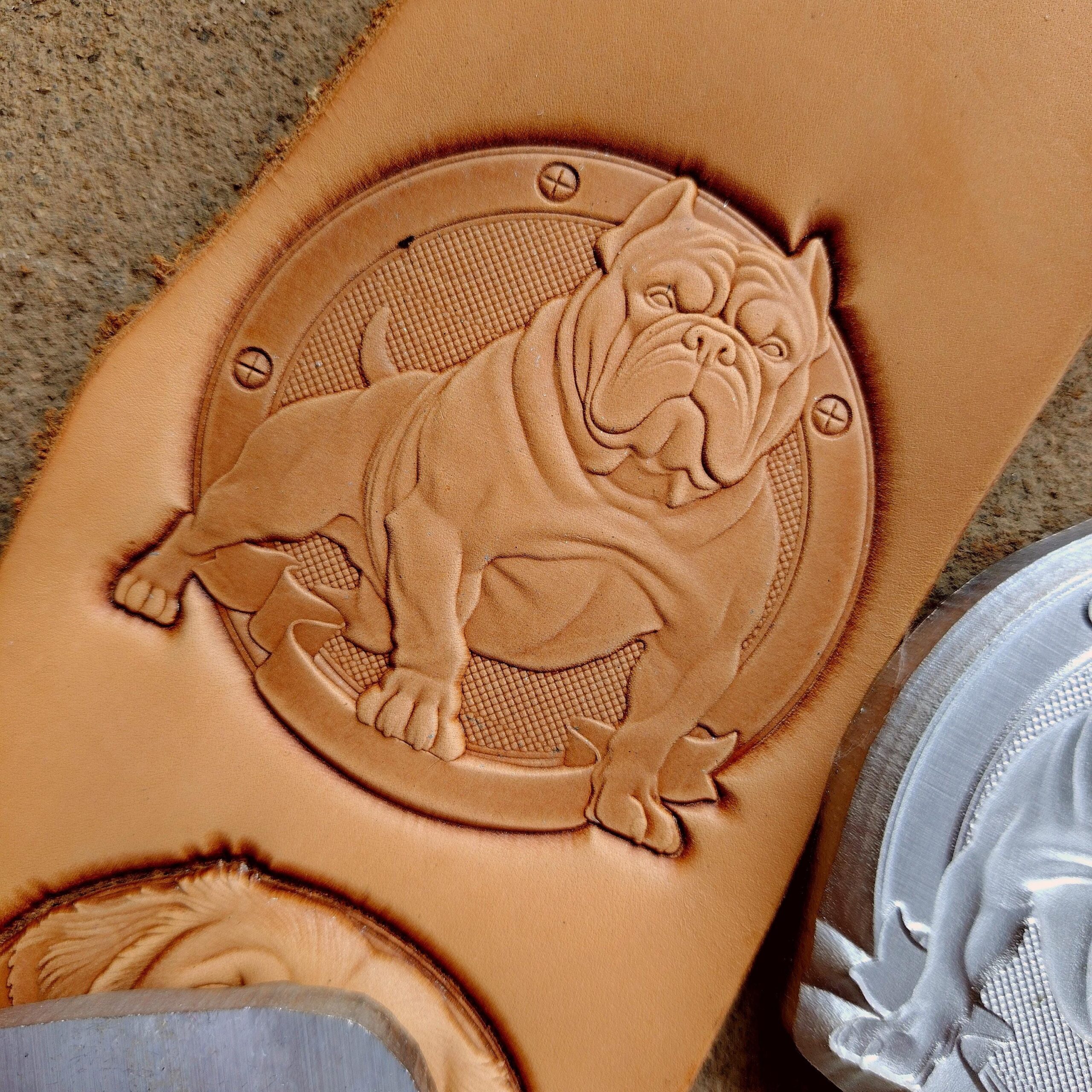 Bully Dog Leather Stamp Mold - Image 8