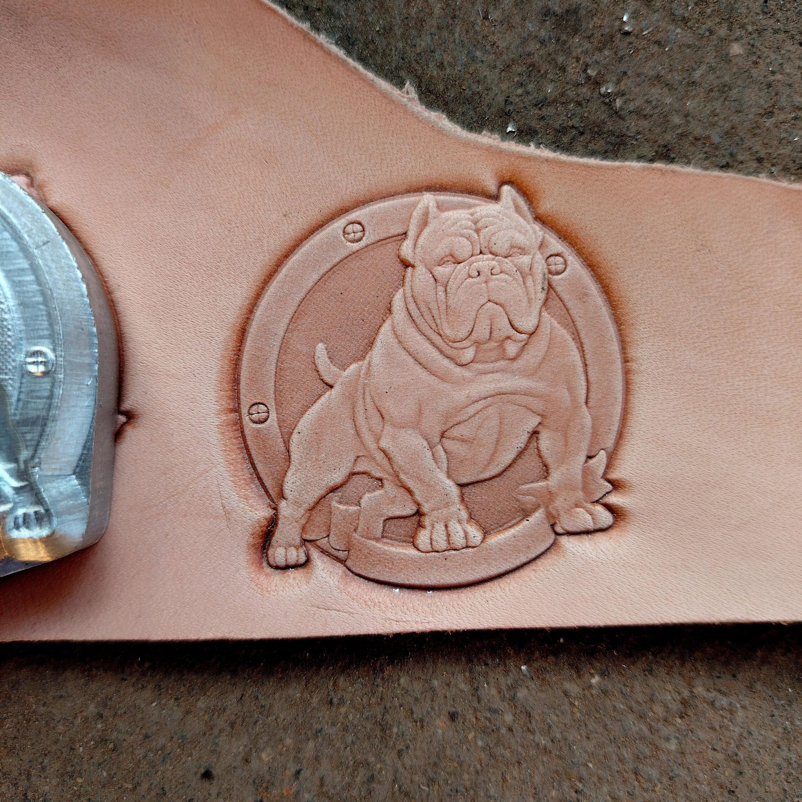 Bully Dog Leather Stamp Mold - Image 9