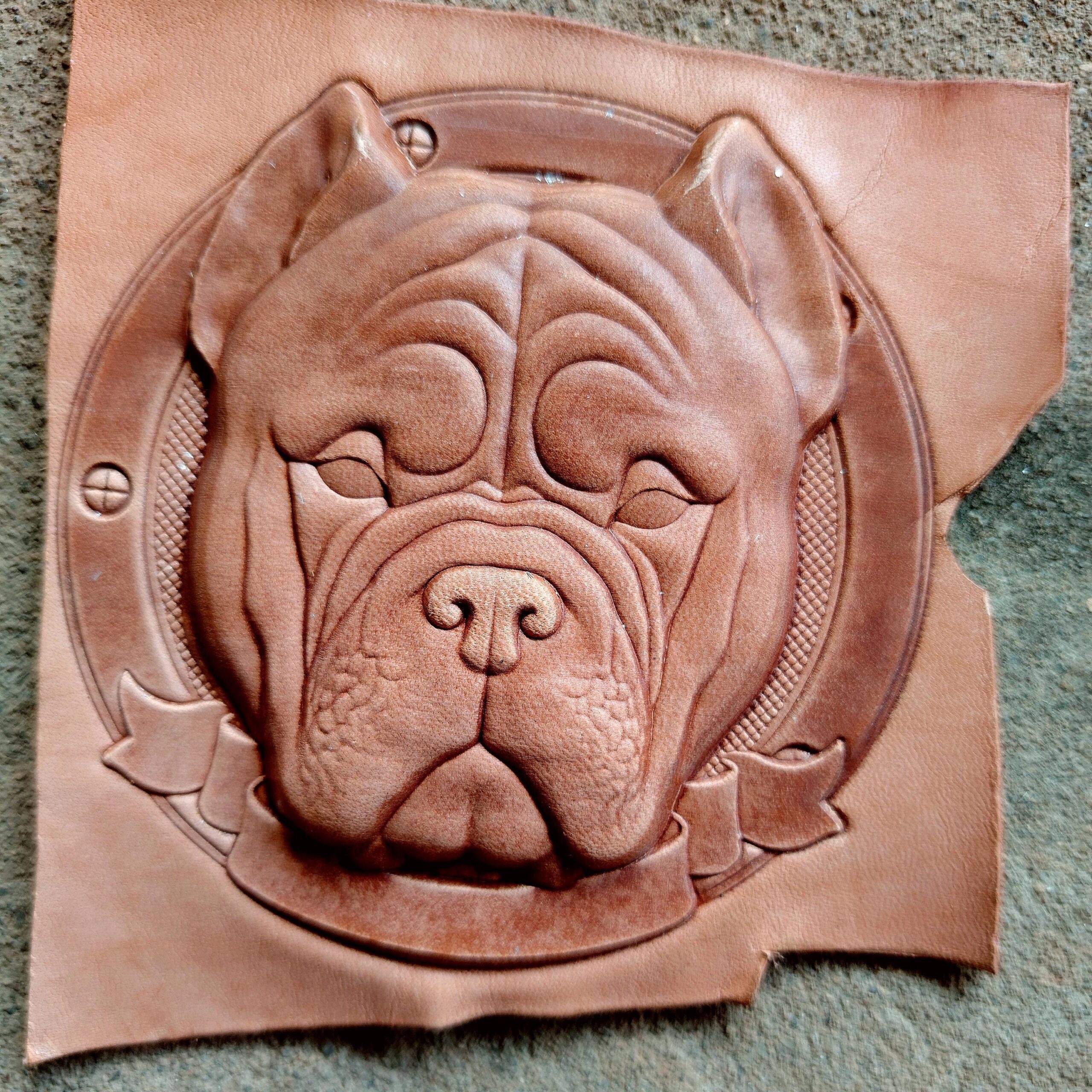 Bully Dog Leather Stamp Mold - Image 3