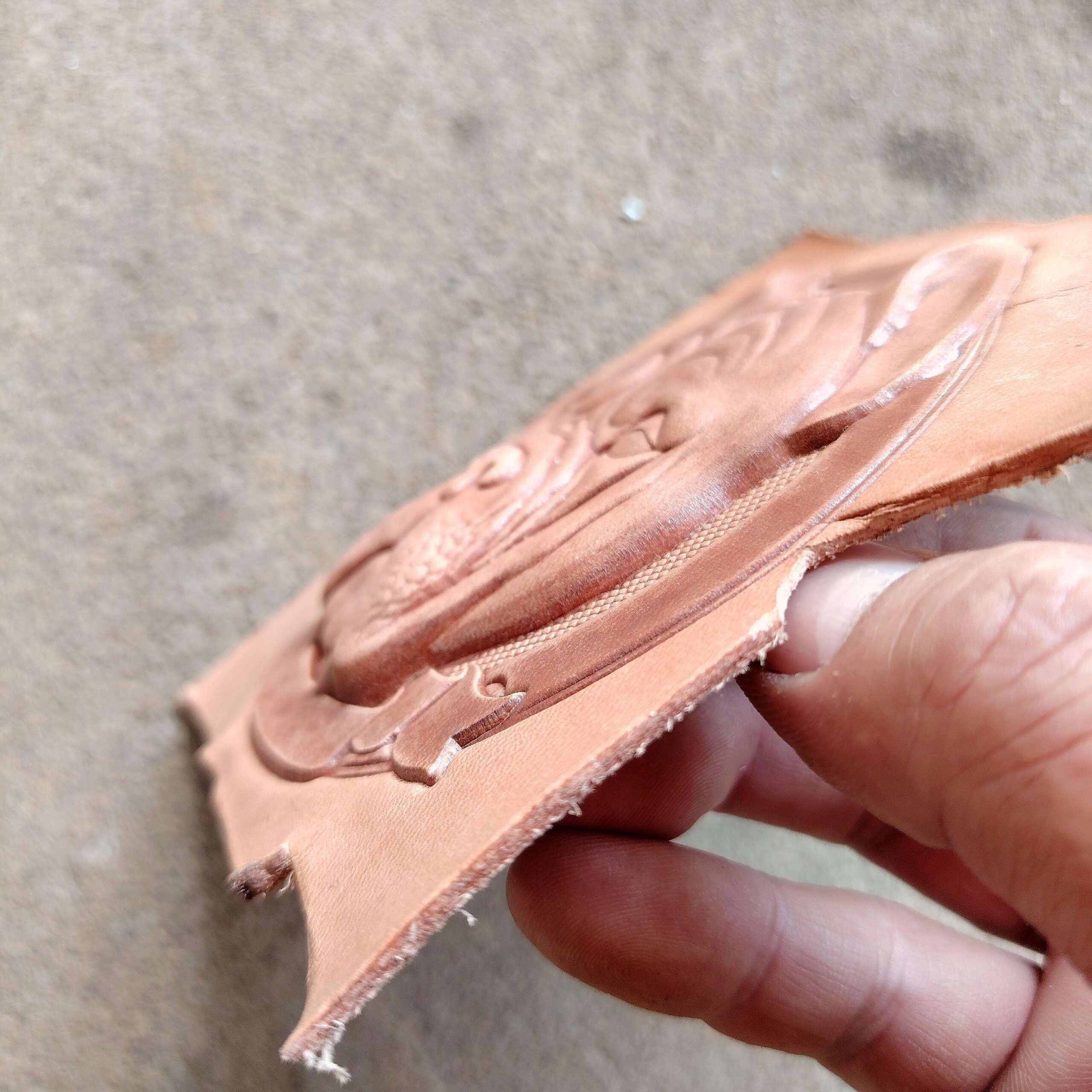 Bully Dog Leather Stamp Mold - Image 6