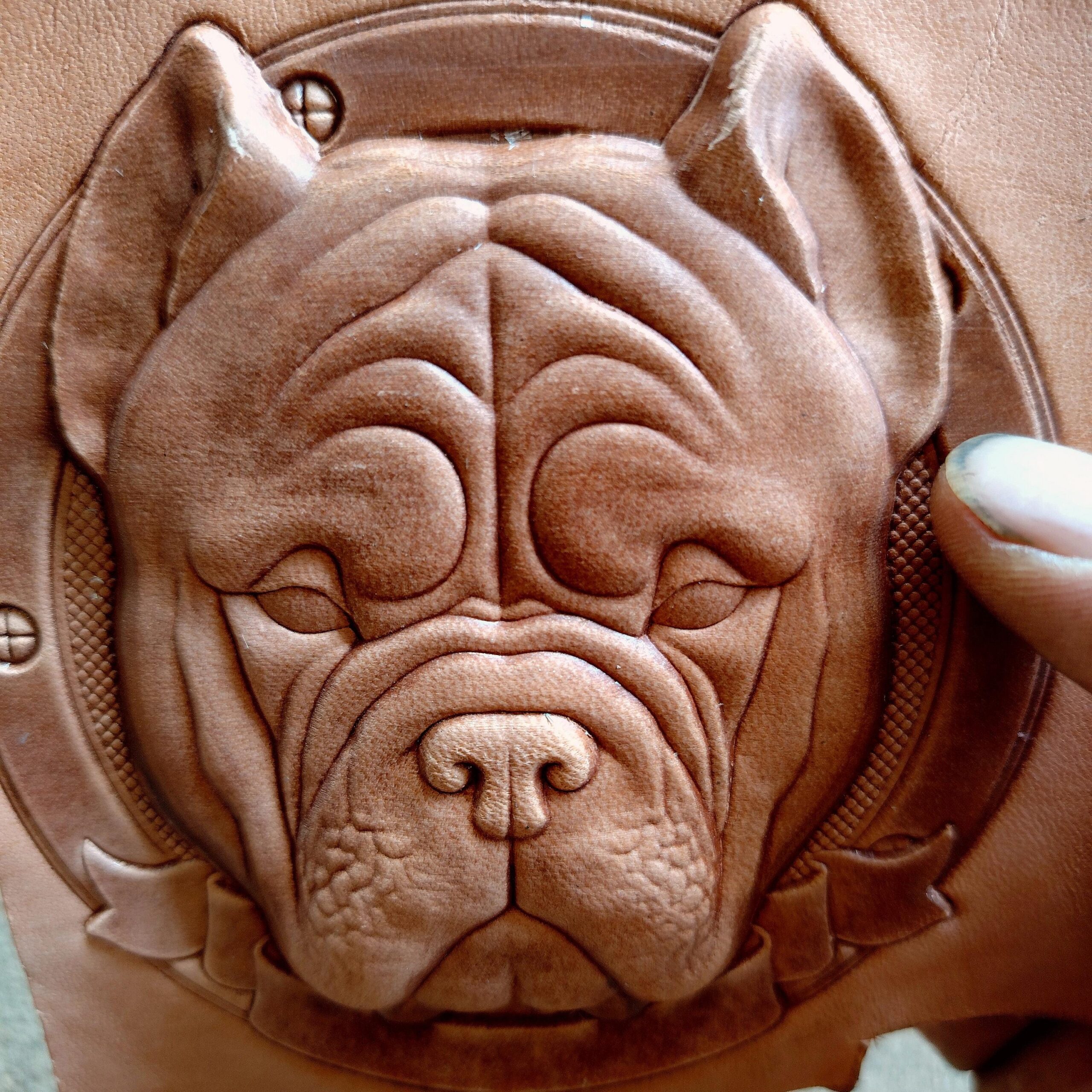 Bully Dog Leather Stamp Mold - Image 2